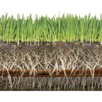 Rain Bird 6mm Gr&uuml;nfl&auml;chentropfleitung / Tropfschlauch 30 Meter 30 cm